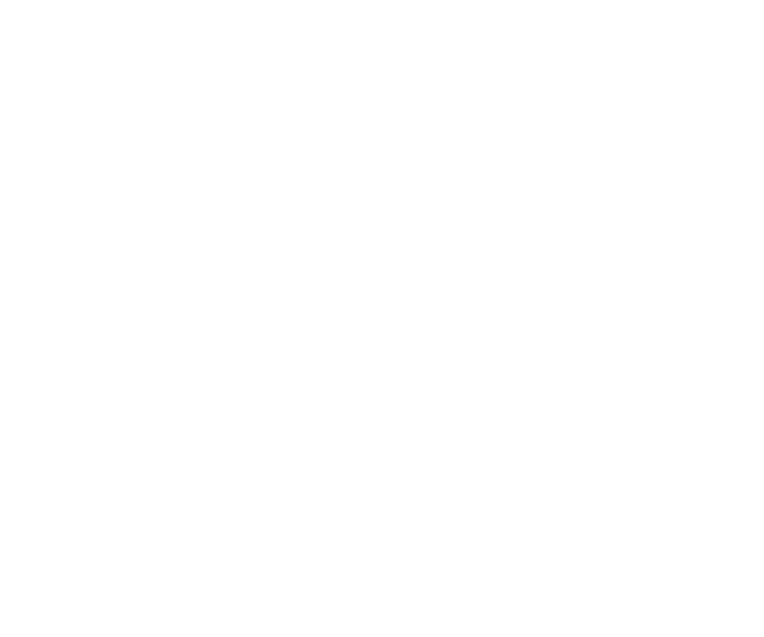 DominicanaSolidaria.org